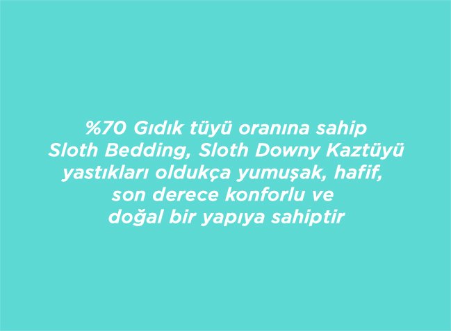 Slothy Down Kaz Tüyü Yastık